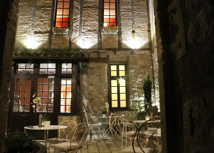 Hotel Raymond VII